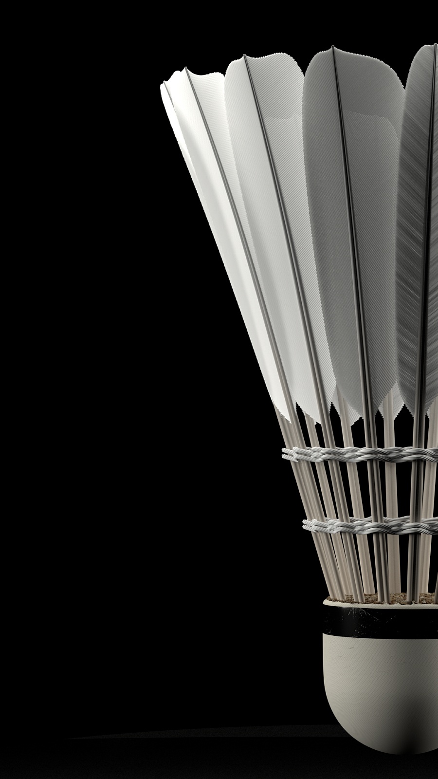 曼城必须在 曼城必须在